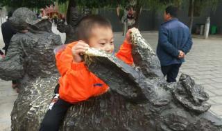 我要的幸福很简单 我要的幸福很简单