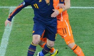 世界杯西班牙荷兰决赛