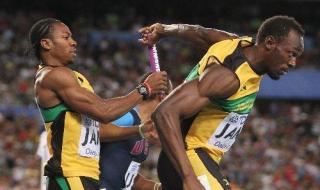 北京奥运会武术金牌 北京奥运会武术金牌